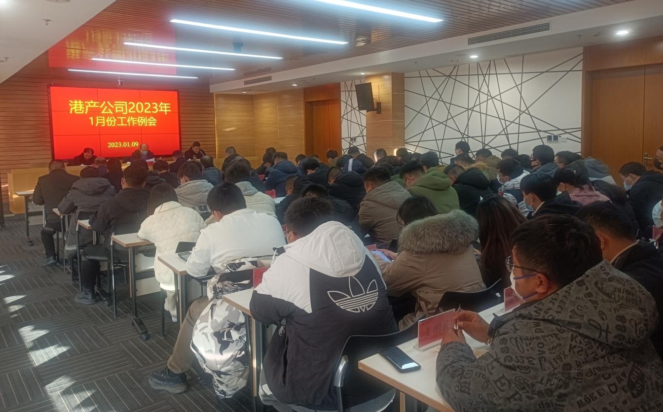 港產(chǎn)公司召開月度工作推進會.jpg